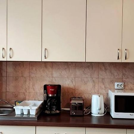 Spacious Flat, With Free Parking & Air Conditioning Флорешты Экстерьер фото