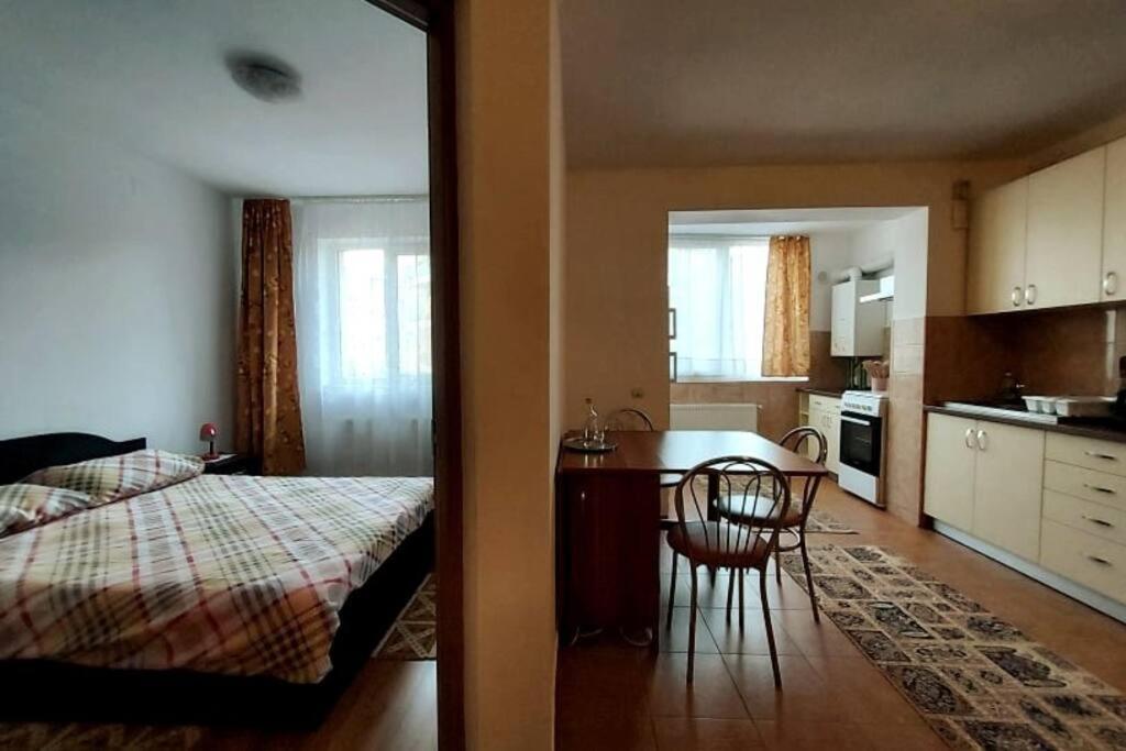 Spacious Flat, With Free Parking & Air Conditioning Флорешты Экстерьер фото