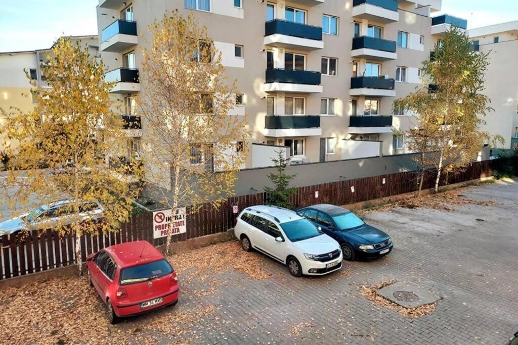Spacious Flat, With Free Parking & Air Conditioning Флорешты Экстерьер фото